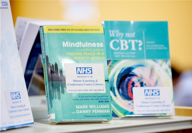 An image of 2 books. The one on the left is titled Mindfulness a practical guide to finding peace in a frantic world and the one on the right is titled Why not CBT?